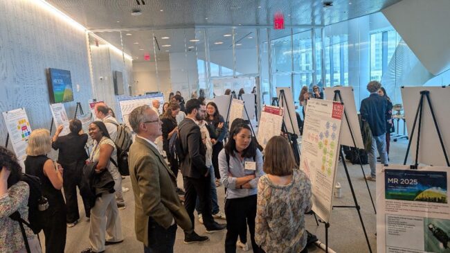 Participants at a poster display session